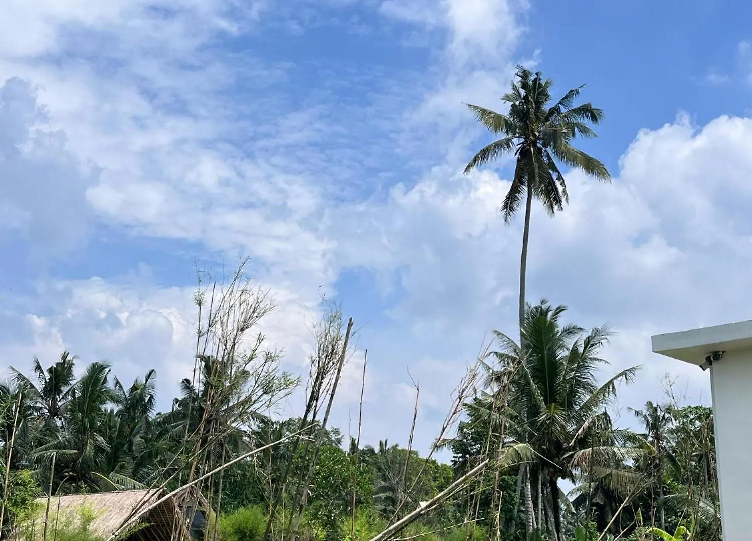 Kamadeva Villas By Great Bali Villas Ubud   Ubud (Bali)
